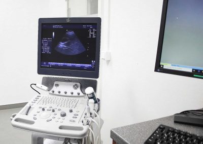 Ultraschall in der Kleintierpraxis Hanenberg in Kaarst